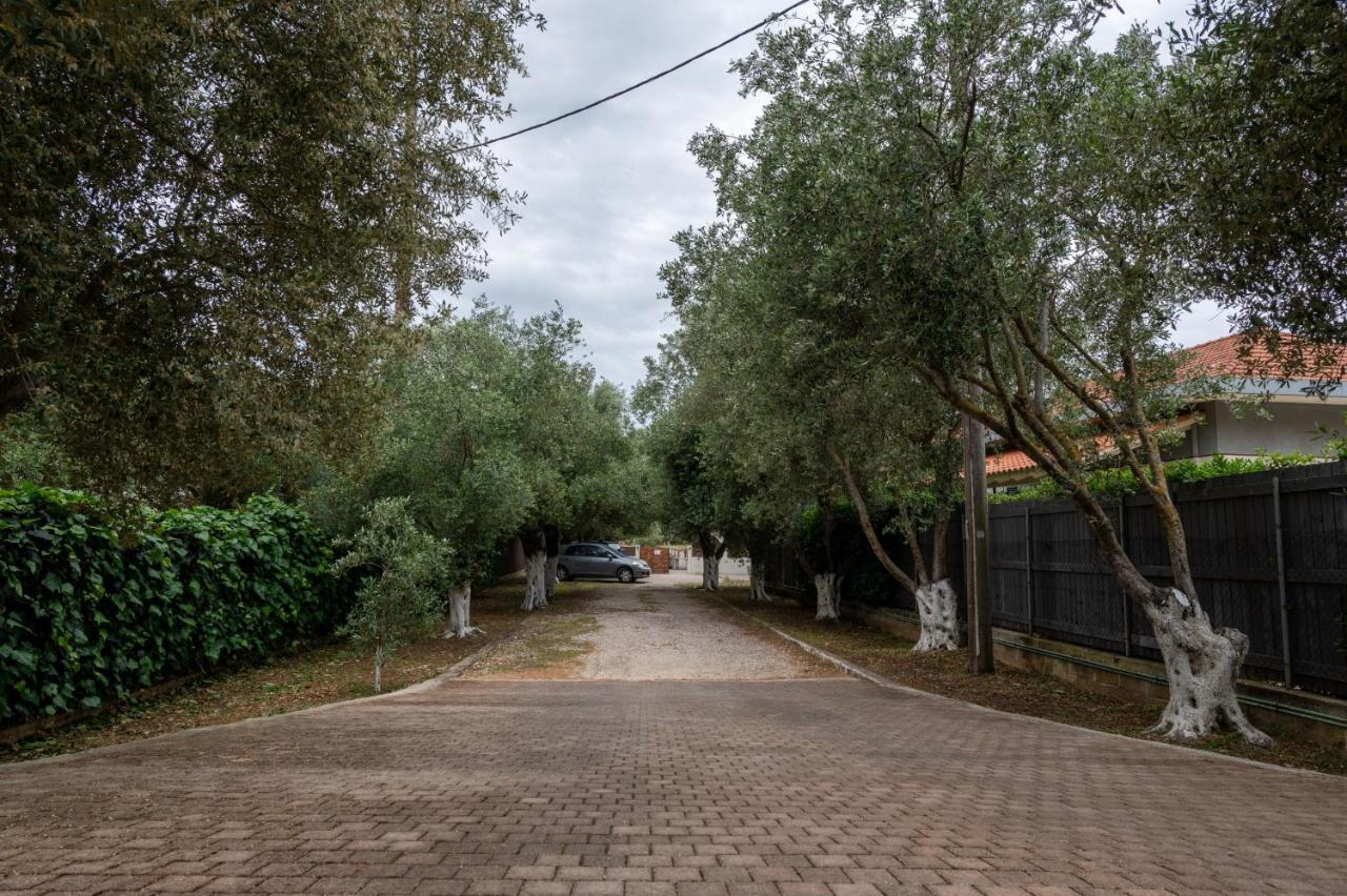 Studio De Bosset Argostoli  Bagian luar foto