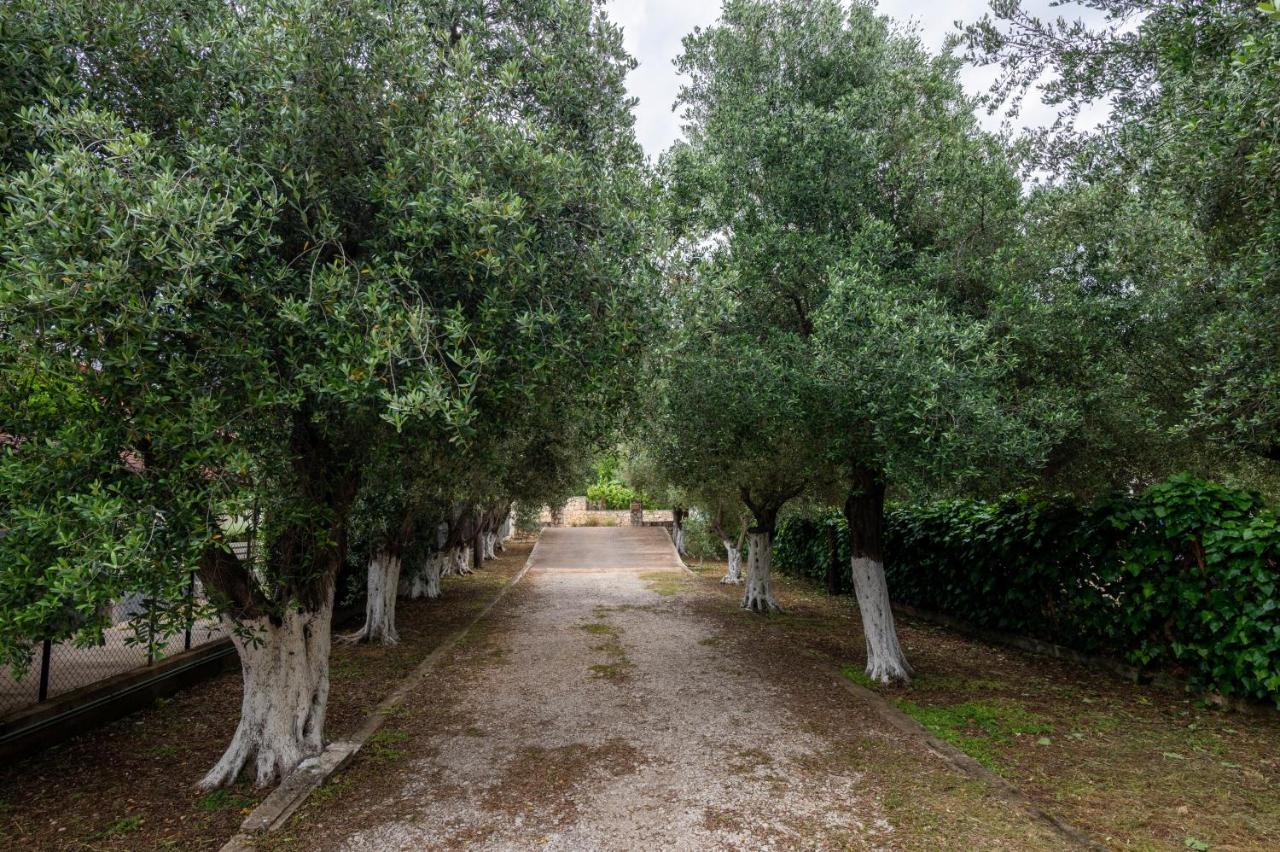 Studio De Bosset Argostoli  Bagian luar foto